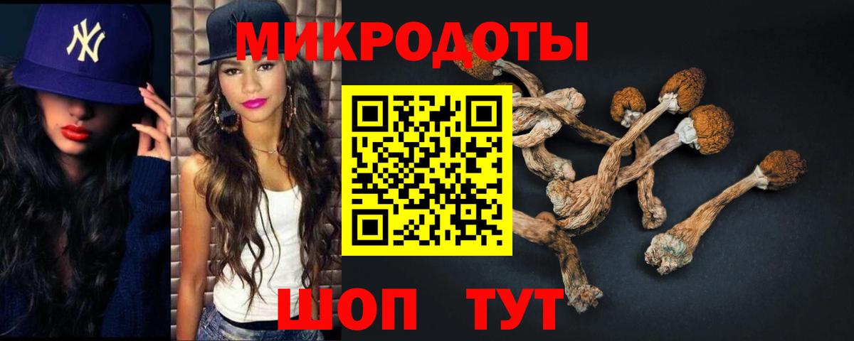 Псилоцибиновые грибы Magic Shrooms  Вход с VPN  Псилоцибиновые грибы Psilocybe  Урюпинск 